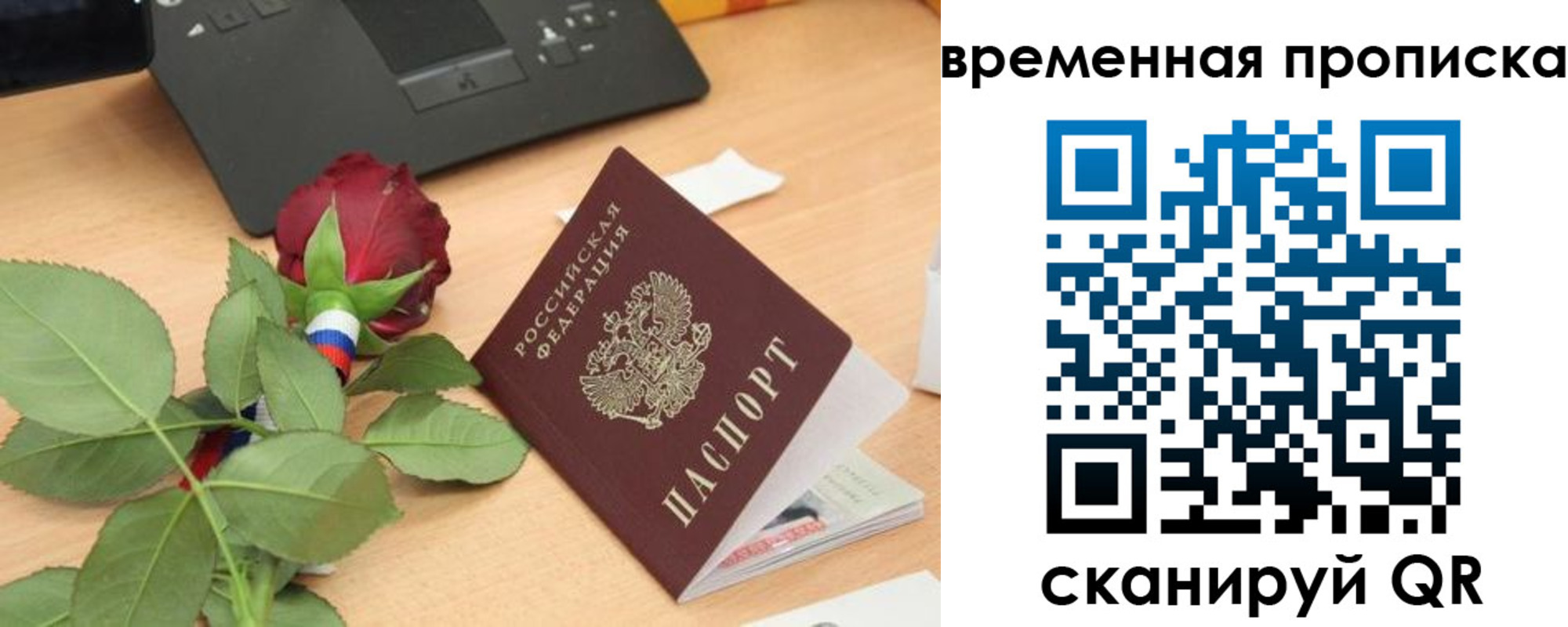 временная регистрация поиск в Елабуге